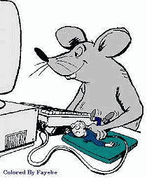 funny mouse picture