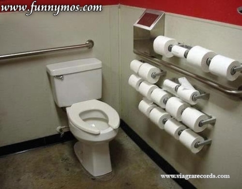 funny women toilet paper picture