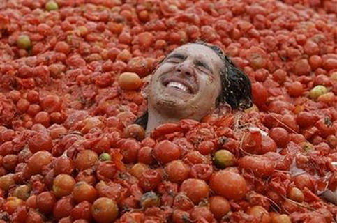 tomato fight