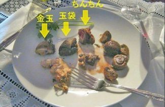 Japanese Chef Cooks and Serves His Own Genitals