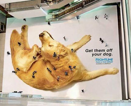 Got Fleas? Cutest Guerrilla Marketing Campaign
